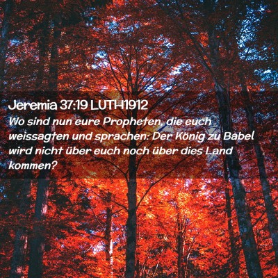 Picture 02 - Jeremia 37:19 LUTH1912 - Wo sind nun eure Propheten, die euch weissagten - Bible Verse Picture