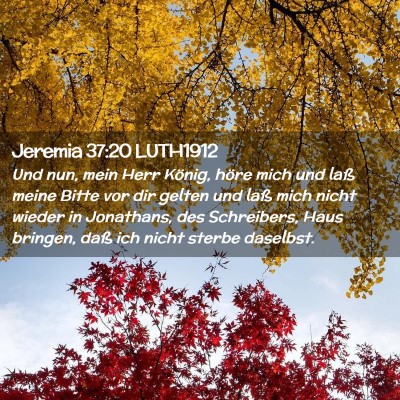 Picture 02 - Jeremia 37:20 LUTH1912 - Und nun, mein Herr König, höre mich und laß - Bible Verse Picture