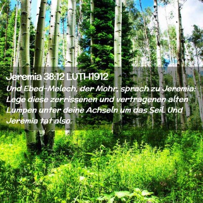 Picture 02 - Jeremia 38:12 LUTH1912 - Und Ebed-Melech, der Mohr, sprach zu Jeremia: - Bible Verse Picture