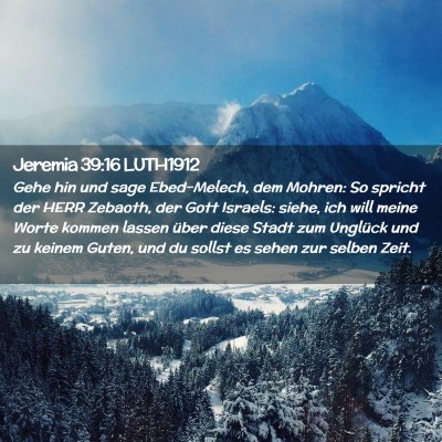 Picture 02 - Jeremia 39:16 LUTH1912 - Gehe hin und sage Ebed-Melech, dem Mohren: So - Bible Verse Picture