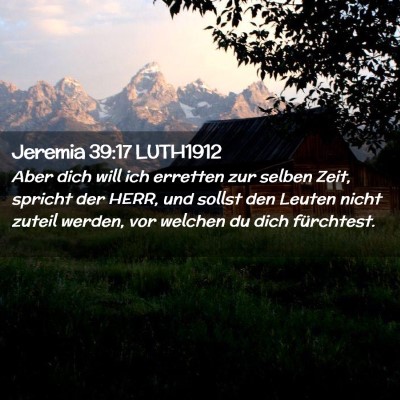Picture 02 - Jeremia 39:17 LUTH1912 - Aber dich will ich erretten zur selben Zeit, - Bible Verse Picture