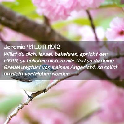 Picture 02 - Jeremia 4:1 LUTH1912 - Willst du dich, Israel, bekehren, spricht der - Bible Verse Picture