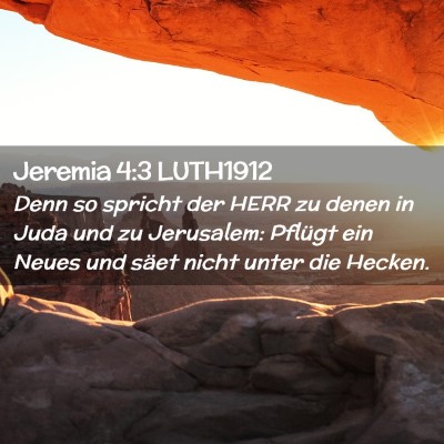 Picture 02 - Jeremia 4:3 LUTH1912 - Denn so spricht der HERR zu denen in Juda und zu - Bible Verse Picture