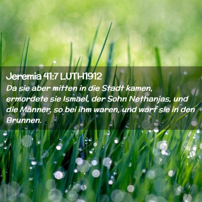 Picture 02 - Jeremia 41:7 LUTH1912 - Da sie aber mitten in die Stadt kamen, ermordete - Bible Verse Picture