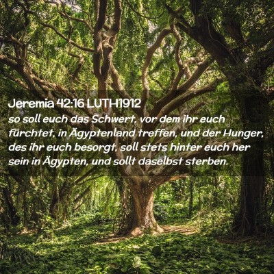 Picture 02 - Jeremia 42:16 LUTH1912 - so soll euch das Schwert, vor dem ihr euch - Bible Verse Picture
