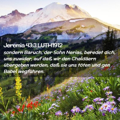 Picture 02 - Jeremia 43:3 LUTH1912 - sondern Baruch, der Sohn Nerias, beredet dich, - Bible Verse Picture