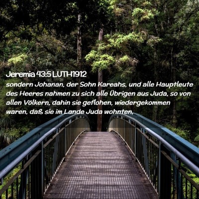 Picture 02 - Jeremia 43:5 LUTH1912 - sondern Johanan, der Sohn Kareahs, und alle - Bible Verse Picture