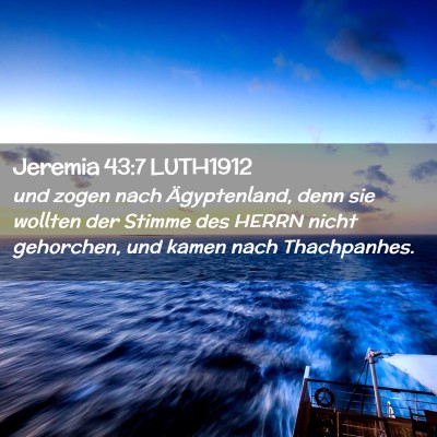 Picture 02 - Jeremia 43:7 LUTH1912 - und zogen nach Ägyptenland, denn sie wollten der - Bible Verse Picture