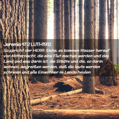 Picture 02 - Jeremia 47:2 LUTH1912 - So spricht der HERR: Siehe, es kommen Wasser - Bible Verse Picture