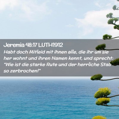 Picture 02 - Jeremia 48:17 LUTH1912 - Habt doch Mitleid mit ihnen alle, die ihr um sie - Bible Verse Picture