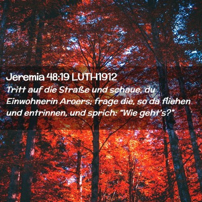 Picture 02 - Jeremia 48:19 LUTH1912 - Tritt auf die Straße und schaue, du Einwohnerin - Bible Verse Picture