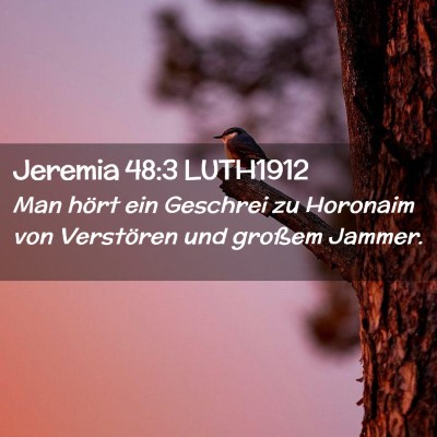 Picture 02 - Jeremia 48:3 LUTH1912 - Man hört ein Geschrei zu Horonaim von Verstören - Bible Verse Picture