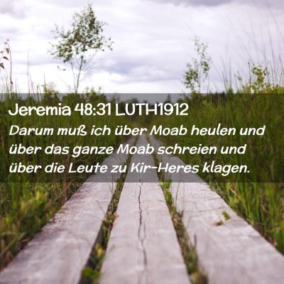 Picture 02 - Jeremia 48:31 LUTH1912 - Darum muß ich über Moab heulen und über das - Bible Verse Picture