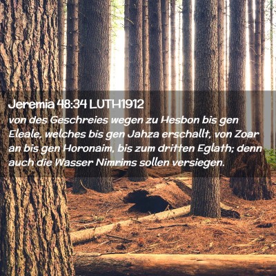 Picture 02 - Jeremia 48:34 LUTH1912 - von des Geschreies wegen zu Hesbon bis gen - Bible Verse Picture