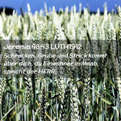 Picture 02 - Jeremia 48:43 LUTH1912 - Schrecken, Grube und Strick kommt über dich, du - Bible Verse Picture