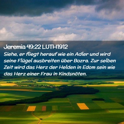 Picture 02 - Jeremia 49:22 LUTH1912 - Siehe, er fliegt herauf wie ein Adler und wird - Bible Verse Picture