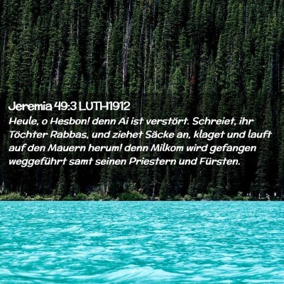 Picture 02 - Jeremia 49:3 LUTH1912 - Heule, o Hesbon! denn Ai ist verstört. Schreiet, - Bible Verse Picture