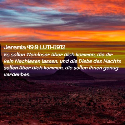 Picture 02 - Jeremia 49:9 LUTH1912 - Es sollen Weinleser über dich kommen, die dir - Bible Verse Picture