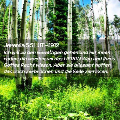 Picture 02 - Jeremia 5:5 LUTH1912 - Ich will zu den Gewaltigen gehen und mit ihnen - Bible Verse Picture