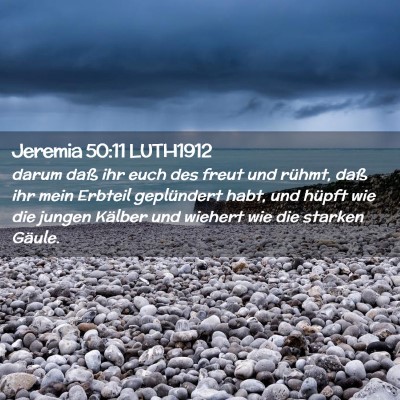 Picture 02 - Jeremia 50:11 LUTH1912 - darum daß ihr euch des freut und rühmt, daß - Bible Verse Picture