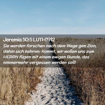 Picture 02 - Jeremia 50:5 LUTH1912 - Sie werden forschen nach dem Wege gen Zion, dahin - Bible Verse Picture