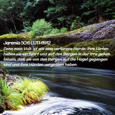 Picture 02 - Jeremia 50:6 LUTH1912 - Denn mein Volk ist wie eine verlorene Herde; ihre - Bible Verse Picture