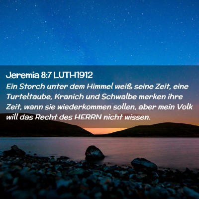 Picture 02 - Jeremia 8:7 LUTH1912 - Ein Storch unter dem Himmel weiß seine Zeit, - Bible Verse Picture