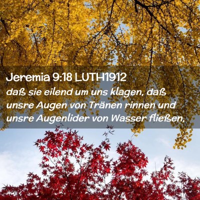 Picture 02 - Jeremia 9:18 LUTH1912 - daß sie eilend um uns klagen, daß unsre Augen - Bible Verse Picture