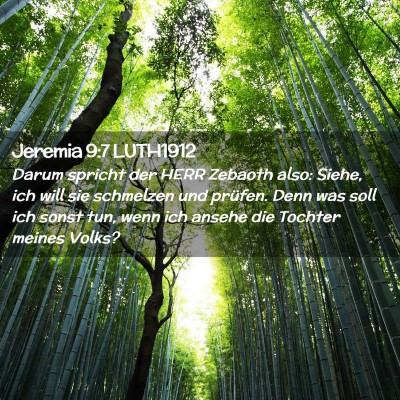 Picture 02 - Jeremia 9:7 LUTH1912 - Darum spricht der HERR Zebaoth also: Siehe, ich - Bible Verse Picture
