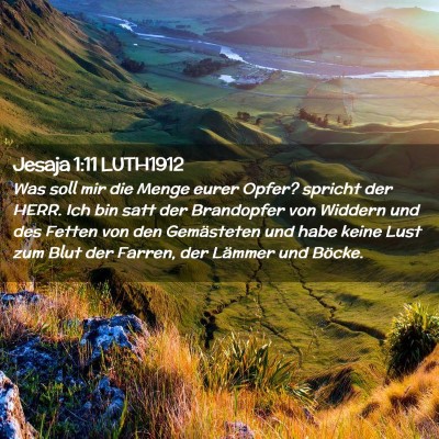 Picture 02 - Jesaja 1:11 LUTH1912 - Was soll mir die Menge eurer Opfer? spricht der - Bible Verse Picture