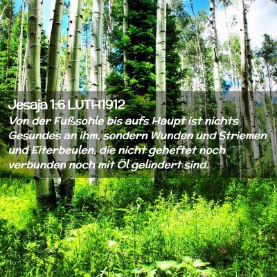 Picture 02 - Jesaja 1:6 LUTH1912 - Von der Fußsohle bis aufs Haupt ist nichts - Bible Verse Picture