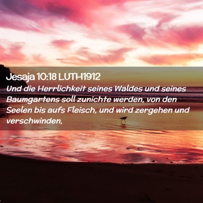 Picture 02 - Jesaja 10:18 LUTH1912 - Und die Herrlichkeit seines Waldes und seines - Bible Verse Picture