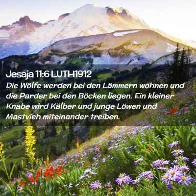Picture 02 - Jesaja 11:6 LUTH1912 - Die Wölfe werden bei den Lämmern wohnen und die - Bible Verse Picture