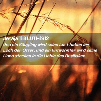 Picture 02 - Jesaja 11:8 LUTH1912 - Und ein Säugling wird seine Lust haben am Loch - Bible Verse Picture