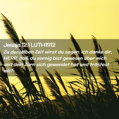 Picture 02 - Jesaja 12:1 LUTH1912 - Zu derselben Zeit wirst du sagen: Ich danke dir, - Bible Verse Picture