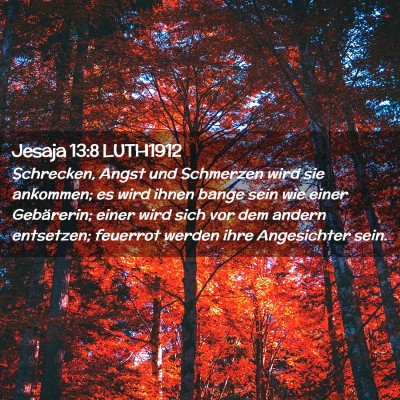 Picture 02 - Jesaja 13:8 LUTH1912 - Schrecken, Angst und Schmerzen wird sie ankommen; - Bible Verse Picture