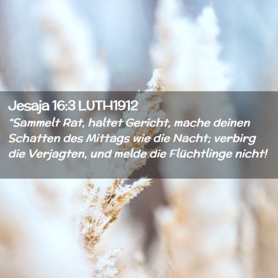 Picture 02 - Jesaja 16:3 LUTH1912 - “Sammelt Rat, haltet Gericht, mache deinen - Bible Verse Picture