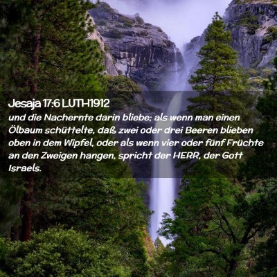 Picture 02 - Jesaja 17:6 LUTH1912 - und die Nachernte darin bliebe; als wenn man - Bible Verse Picture
