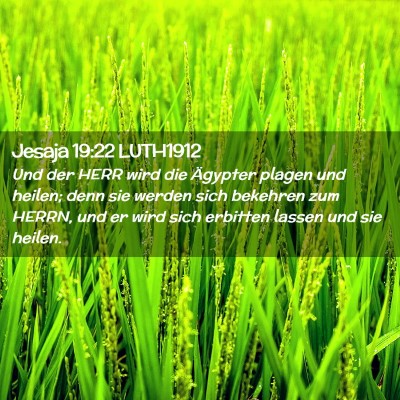 Picture 02 - Jesaja 19:22 LUTH1912 - Und der HERR wird die Ägypter plagen und heilen; - Bible Verse Picture