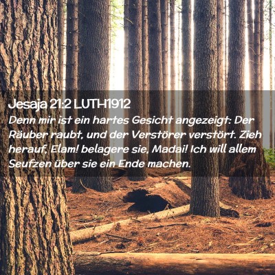 Picture 02 - Jesaja 21:2 LUTH1912 - Denn mir ist ein hartes Gesicht angezeigt: Der - Bible Verse Picture