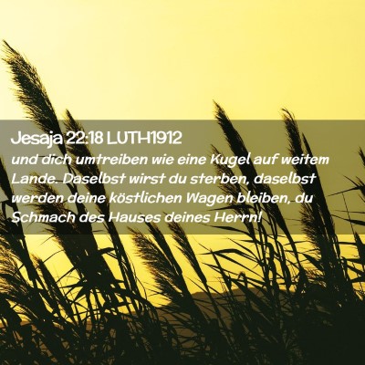 Picture 02 - Jesaja 22:18 LUTH1912 - und dich umtreiben wie eine Kugel auf weitem - Bible Verse Picture