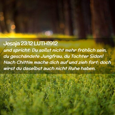 Picture 02 - Jesaja 23:12 LUTH1912 - und spricht: Du sollst nicht mehr fröhlich sein, - Bible Verse Picture