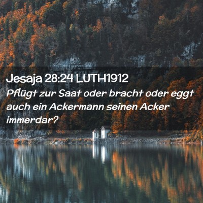 Picture 02 - Jesaja 28:24 LUTH1912 - Pflügt zur Saat oder bracht oder eggt auch ein - Bible Verse Picture