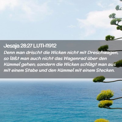 Picture 02 - Jesaja 28:27 LUTH1912 - Denn man drischt die Wicken nicht mit - Bible Verse Picture