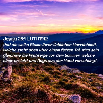 Picture 02 - Jesaja 28:4 LUTH1912 - Und die welke Blume ihrer lieblichen - Bible Verse Picture