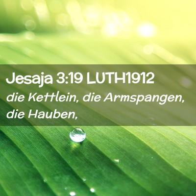 Picture 02 - Jesaja 3:19 LUTH1912 - die Kettlein, die Armspangen, die - Bible Verse Picture