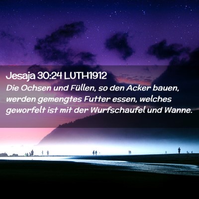 Picture 02 - Jesaja 30:24 LUTH1912 - Die Ochsen und Füllen, so den Acker bauen, - Bible Verse Picture