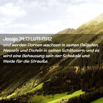 Picture 02 - Jesaja 34:13 LUTH1912 - und werden Dornen wachsen in seinen Palästen, - Bible Verse Picture
