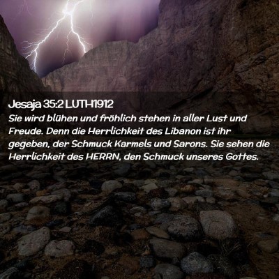 Picture 02 - Jesaja 35:2 LUTH1912 - Sie wird blühen und fröhlich stehen in aller - Bible Verse Picture