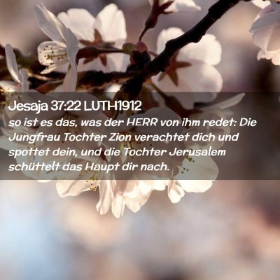 Picture 02 - Jesaja 37:22 LUTH1912 - so ist es das, was der HERR von ihm redet: Die - Bible Verse Picture